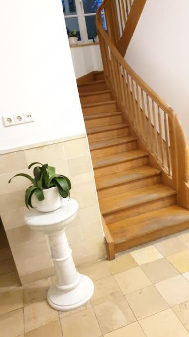 Ferienwohnung In Der Villa Sana Mit Grossem Garten Rofingen Bagian luar foto