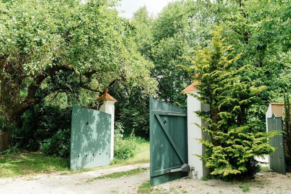 Ferienwohnung In Der Villa Sana Mit Grossem Garten Rofingen Bagian luar foto