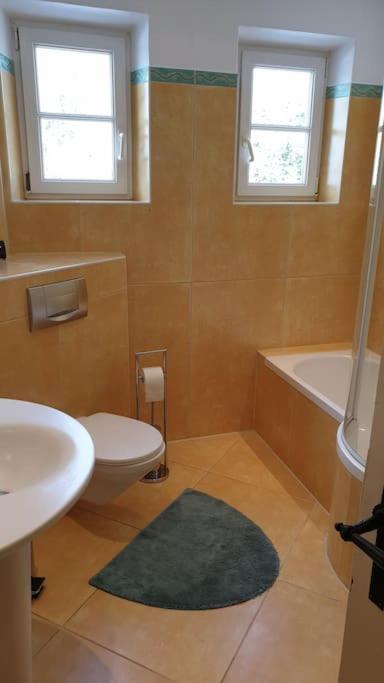 Ferienwohnung In Der Villa Sana Mit Grossem Garten Rofingen Bagian luar foto